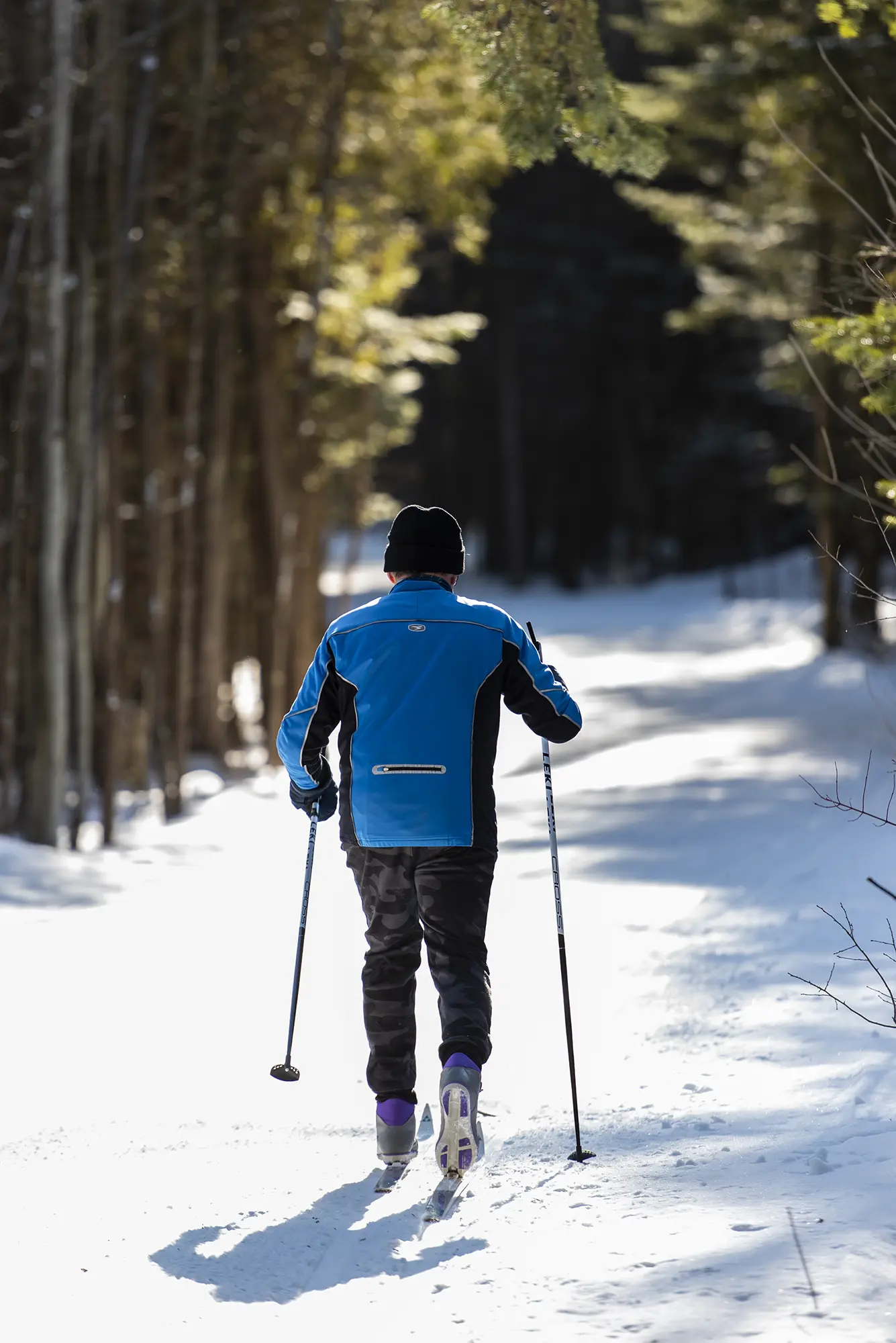 Cross country skiing in Wasaga Beach Provincial Park