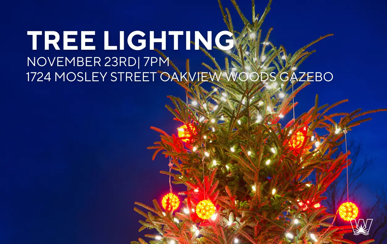 Tree Lighting