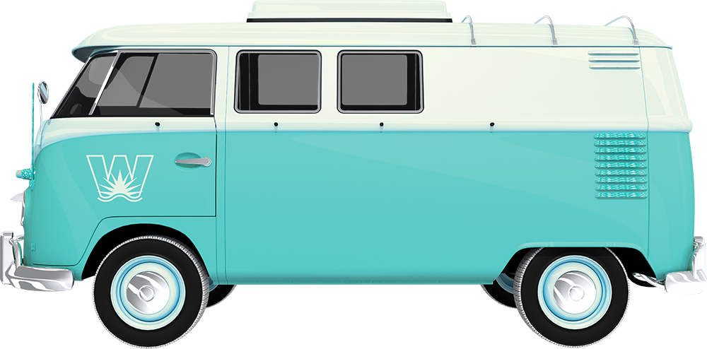 Wasaga VW bus