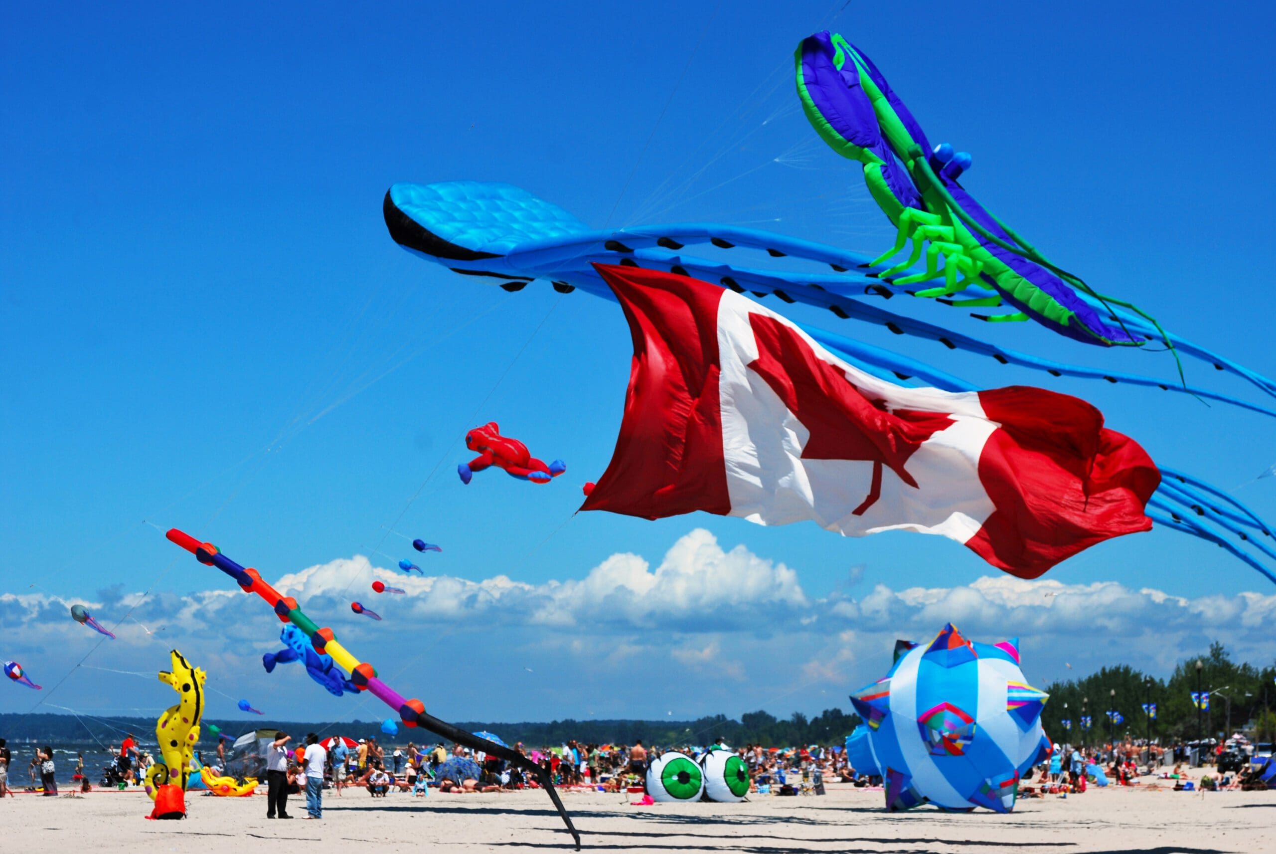 Crowded beach festival with bright, multicolored kites and flags fluttering in the sky above attendees on the sand.